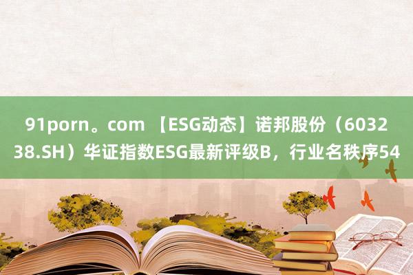 91porn。com 【ESG动态】诺邦股份（603238.SH）华证指数ESG最新评级B，行业名秩序54