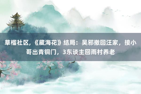 草榴社区， 《藏海花》结局：吴邪撤回汪家，接小哥出青铜门，3东谈主回雨村养老