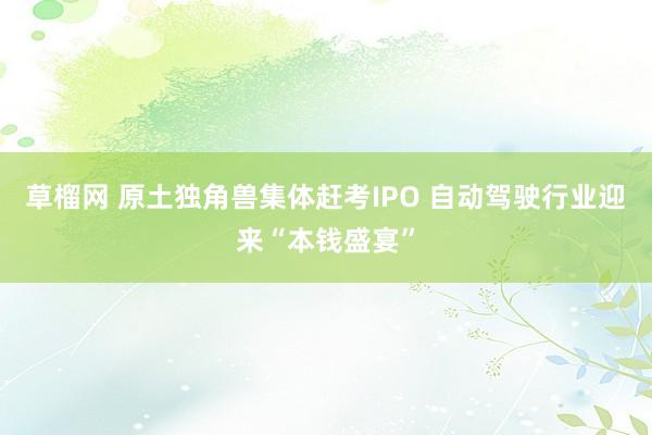 草榴网 原土独角兽集体赶考IPO 自动驾驶行业迎来“本钱盛宴”