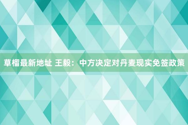 草榴最新地址 王毅：中方决定对丹麦现实免签政策