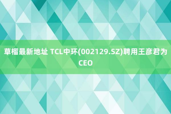 草榴最新地址 TCL中环(002129.SZ)聘用王彦君为CEO