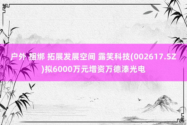 户外 捆绑 拓展发展空间 露笑科技(002617.SZ)拟6000万元增资万德溙光电