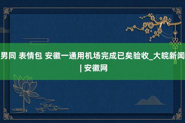 男同 表情包 安徽一通用机场完成已矣验收_大皖新闻 | 安徽网