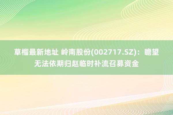 草榴最新地址 岭南股份(002717.SZ)：瞻望无法依期归赵临时补流召募资金