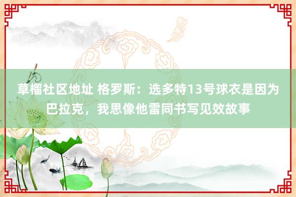 草榴社区地址 格罗斯：选多特13号球衣是因为巴拉克，我思像他雷同书写见效故事