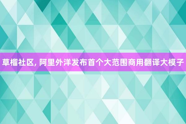 草榴社区， 阿里外洋发布首个大范围商用翻译大模子