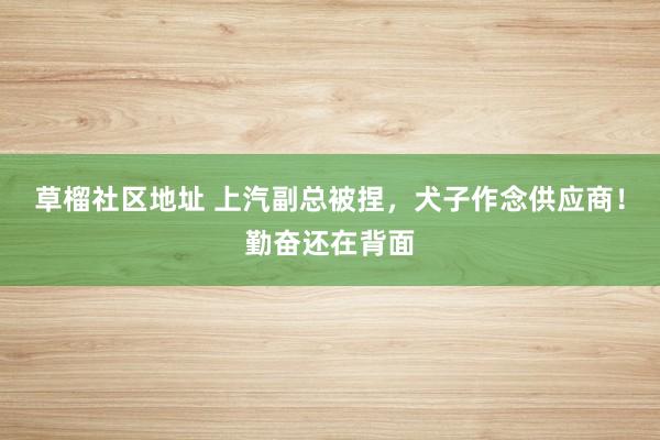 草榴社区地址 上汽副总被捏，犬子作念供应商！勤奋还在背面