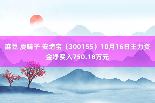 麻豆 夏晴子 安堵宝（300155）10月16日主力资金净买入750.18万元