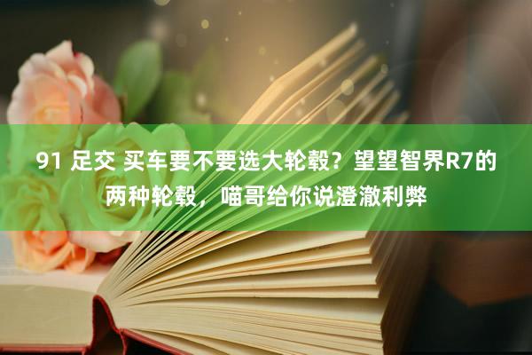 91 足交 买车要不要选大轮毂？望望智界R7的两种轮毂，喵哥给你说澄澈利弊