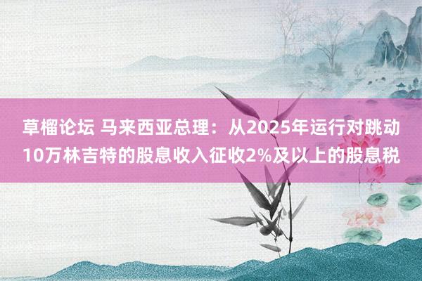 草榴论坛 马来西亚总理：从2025年运行对跳动10万林吉特的股息收入征收2%及以上的股息税