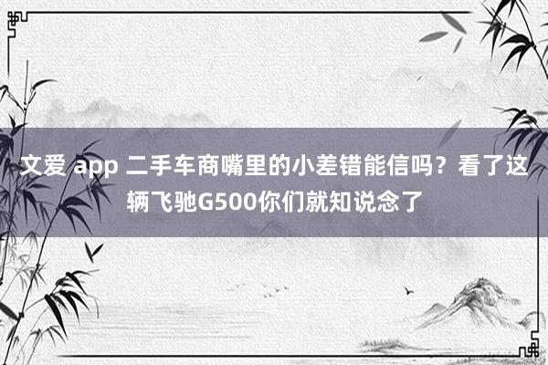 文爱 app 二手车商嘴里的小差错能信吗？看了这辆飞驰G500你们就知说念了