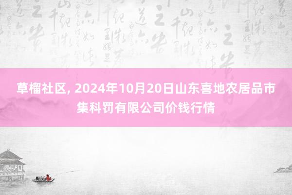 草榴社区， 2024年10月20日山东喜地农居品市集科罚有限公司价钱行情