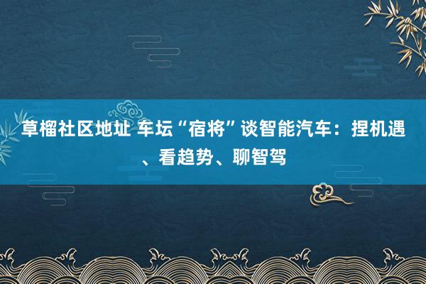 草榴社区地址 车坛“宿将”谈智能汽车：捏机遇、看趋势、聊智驾