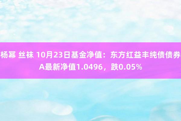 杨幂 丝袜 10月23日基金净值：东方红益丰纯债债券A最新净值1.0496，跌0.05%