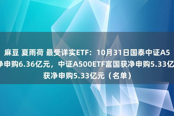 麻豆 夏雨荷 最受详实ETF：10月31日国泰中证A500ETF获净申购6.36亿元，中证A500ETF富国获净申购5.33亿元（名单）