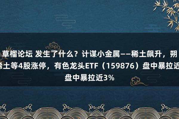 草榴论坛 发生了什么？计谋小金属——稀土飙升，朔方稀土等4股涨停，有色龙头ETF（159876）盘中暴拉近3%