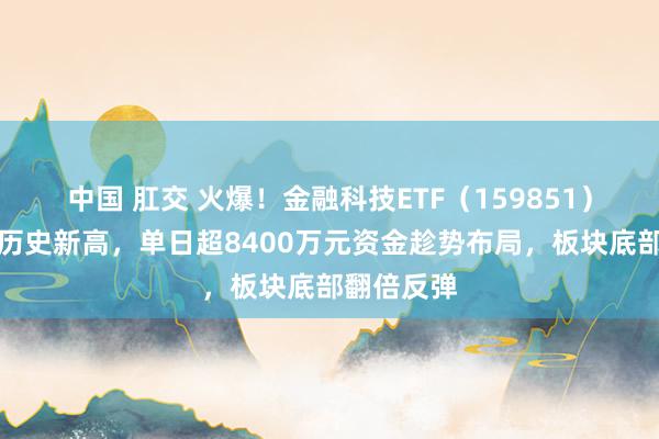 中国 肛交 火爆！金融科技ETF（159851）又双叒创历史新高，单日超8400万元资金趁势布局，板块底部翻倍反弹