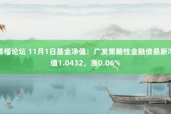 草榴论坛 11月1日基金净值：广发策略性金融债最新净值1.0432，涨0.06%