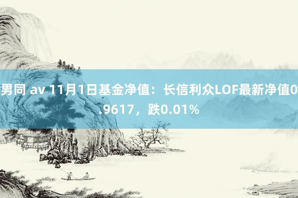 男同 av 11月1日基金净值：长信利众LOF最新净值0.9617，跌0.01%