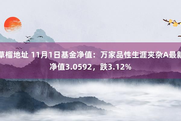 草榴地址 11月1日基金净值：万家品性生涯夹杂A最新净值3.0592，跌3.12%