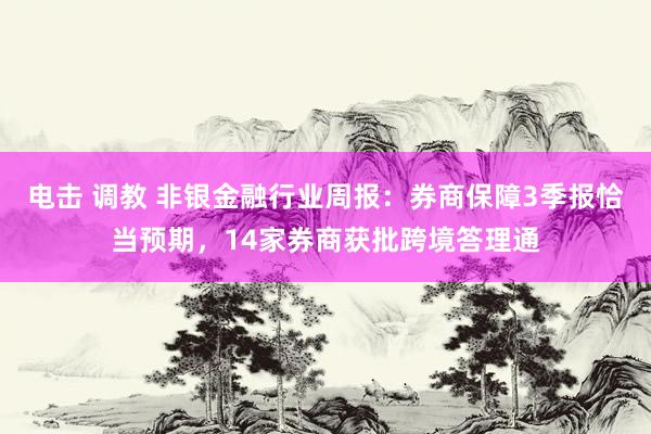 电击 调教 非银金融行业周报：券商保障3季报恰当预期，14家券商获批跨境答理通