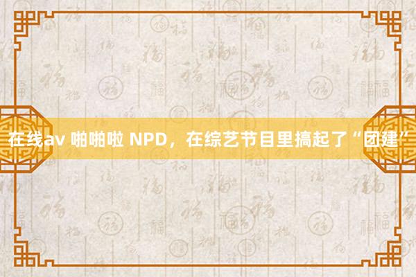 在线av 啪啪啦 NPD，在综艺节目里搞起了“团建”