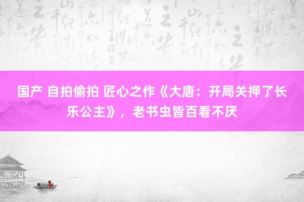 国产 自拍偷拍 匠心之作《大唐：开局关押了长乐公主》，老书虫皆百看不厌