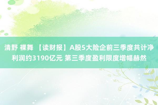 清野 裸舞 【读财报】A股5大险企前三季度共计净利润约3190亿元 第三季度盈利限度增幅赫然