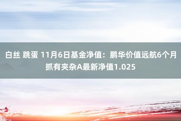 白丝 跳蛋 11月6日基金净值：鹏华价值远航6个月抓有夹杂A最新净值1.025