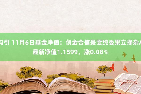 勾引 11月6日基金净值：创金合信景雯纯委果立搀杂A最新净值1.1599，涨0.08%