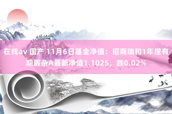 在线av 国产 11月6日基金净值：招商瑞和1年捏有期羼杂A最新净值1.1025，跌0.02%