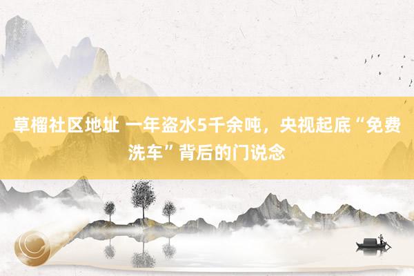 草榴社区地址 一年盗水5千余吨，央视起底“免费洗车”背后的门说念