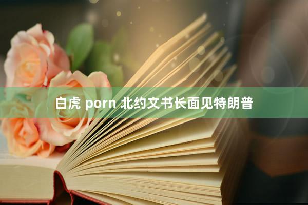 白虎 porn 北约文书长面见特朗普