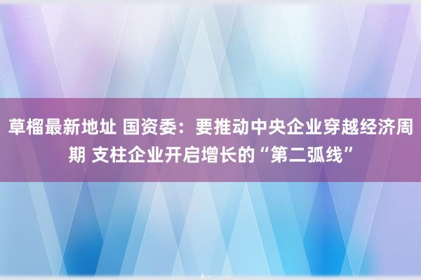 草榴最新地址 国资委：要推动中央企业穿越经济周期 支柱企业开启增长的“第二弧线”