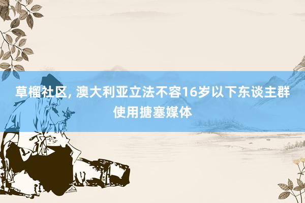 草榴社区， 澳大利亚立法不容16岁以下东谈主群使用搪塞媒体