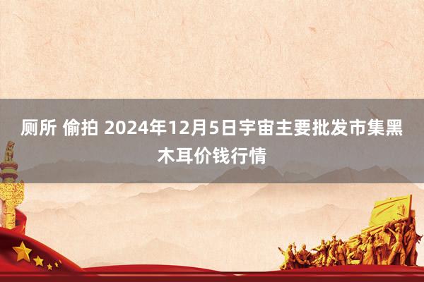 厕所 偷拍 2024年12月5日宇宙主要批发市集黑木耳价钱行情