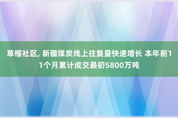 草榴社区， 新疆煤炭线上往复量快速增长 本年前11个月累计成交最初5800万吨