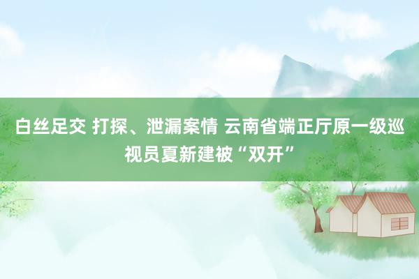 白丝足交 打探、泄漏案情 云南省端正厅原一级巡视员夏新建被“双开”