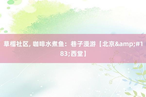 草榴社区， 咖啡水煮鱼：巷子漫游【北京&#183;西堂】