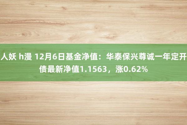 人妖 h漫 12月6日基金净值：华泰保兴尊诚一年定开债最新净值1.1563，涨0.62%