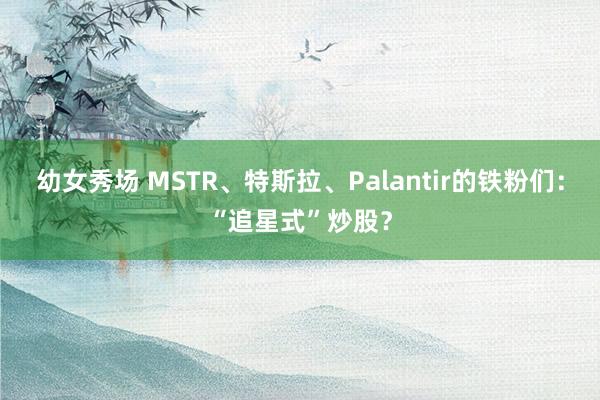 幼女秀场 MSTR、特斯拉、Palantir的铁粉们：“追星式”炒股？