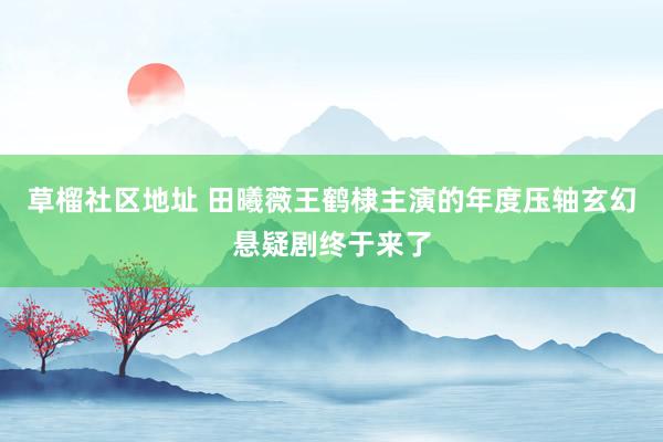 草榴社区地址 田曦薇王鹤棣主演的年度压轴玄幻悬疑剧终于来了