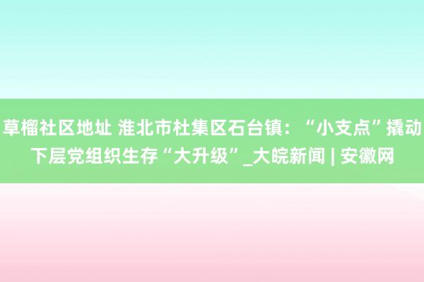 草榴社区地址 淮北市杜集区石台镇：“小支点”撬动下层党组织生存“大升级”_大皖新闻 | 安徽网