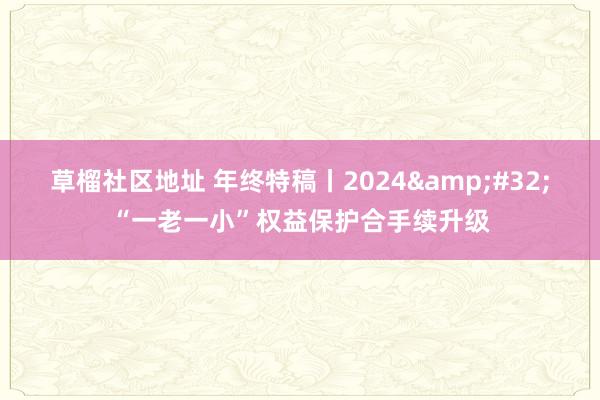 草榴社区地址 年终特稿丨2024&#32;“一老一小”权益保护合手续升级