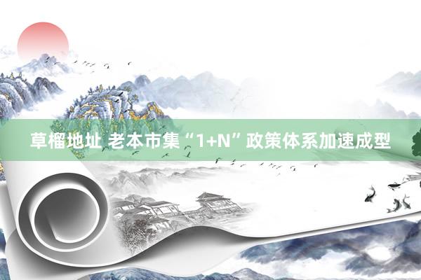 草榴地址 老本市集“1+N”政策体系加速成型