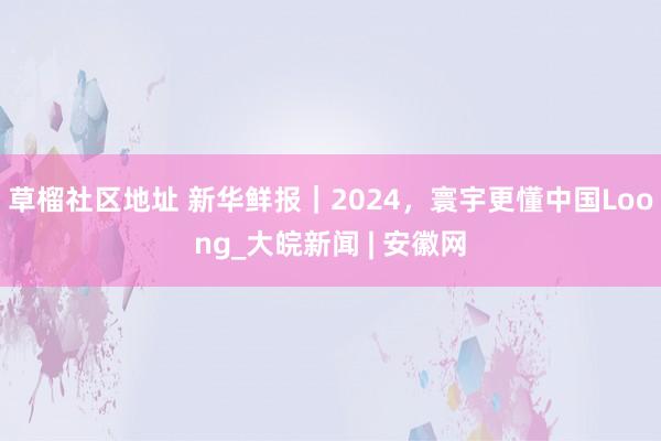 草榴社区地址 新华鲜报｜2024，寰宇更懂中国Loong_大皖新闻 | 安徽网