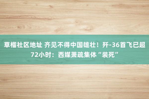 草榴社区地址 齐见不得中国雄壮！歼-36首飞已超72小时：西媒萧疏集体“装死”