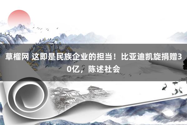 草榴网 这即是民族企业的担当！比亚迪凯旋捐赠30亿，陈述社会