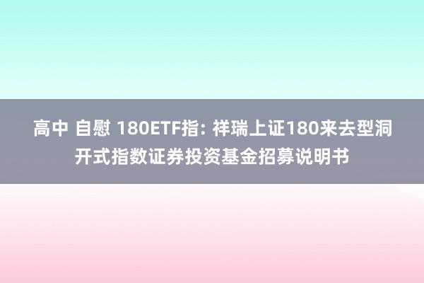 高中 自慰 180ETF指: 祥瑞上证180来去型洞开式指数证券投资基金招募说明书