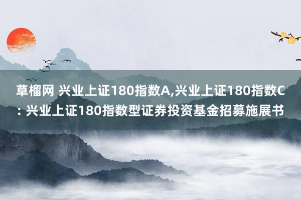 草榴网 兴业上证180指数A，兴业上证180指数C: 兴业上证180指数型证券投资基金招募施展书